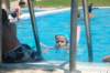 clasesnatacioneverano10_small.jpg