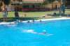 clasesnatacioneverano32_small.jpg