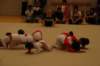 dsc_0404_small.jpg