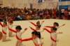dsc_0450_small.jpg